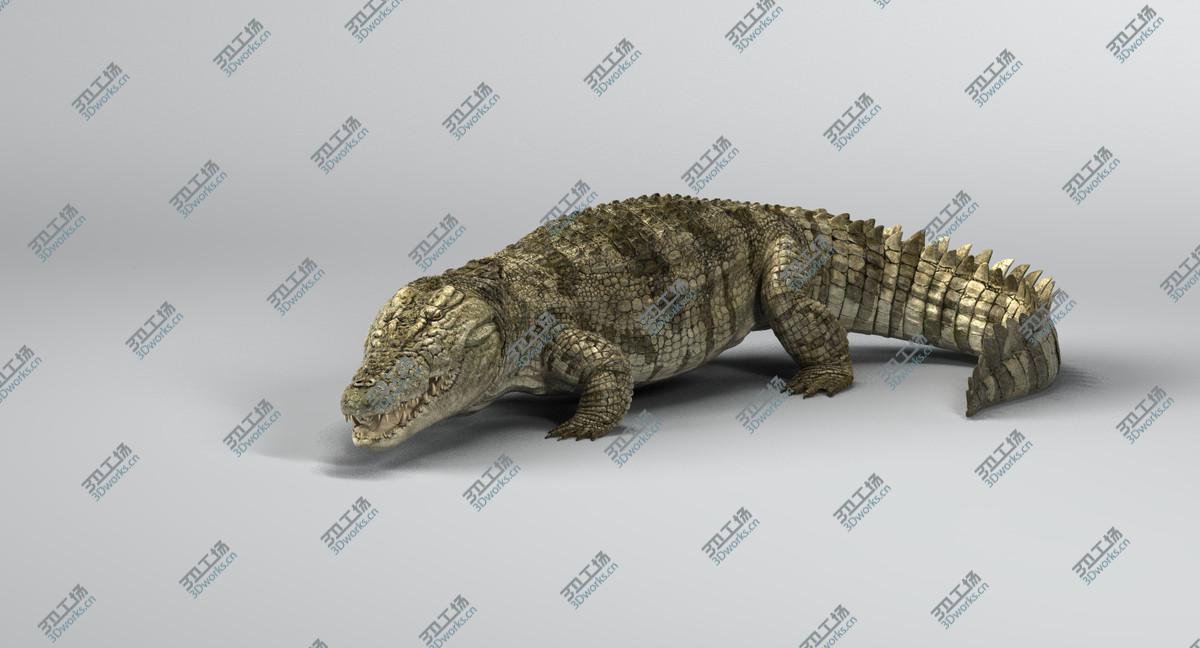 images/goods_img/2021040234/Crocodile Rigged 3D/4.jpg